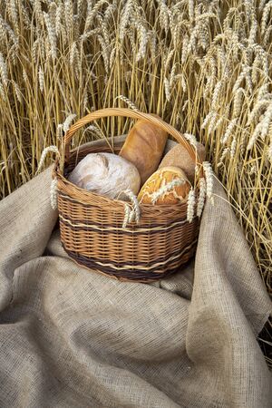 Basket with bread on the background of wheat ears. Basket with bread. Bakery products in a basket on a wheat field.の写真素材