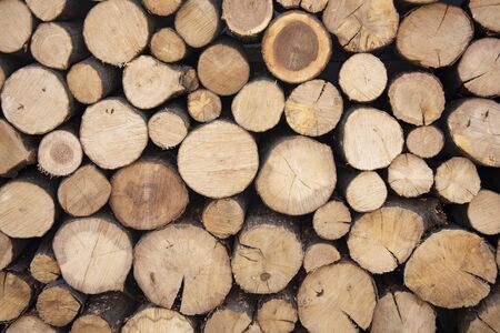 Wooden background. Firewood stack for the background. A lot of cutted logs. Stack of sawn logs. Natural wooden decor background. Pile of chopped fire wood prepared for winter.の写真素材