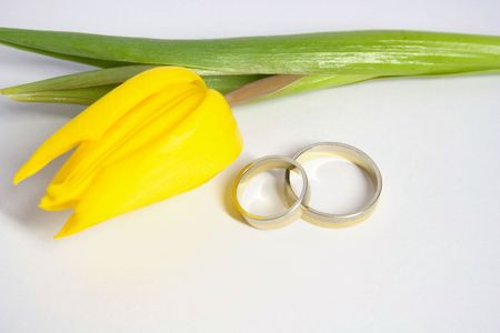 photo of yellow tulip and wedding ringsの写真素材