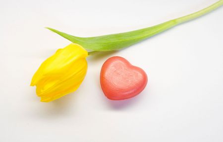 photo of yellow tulip and heart of soapの写真素材