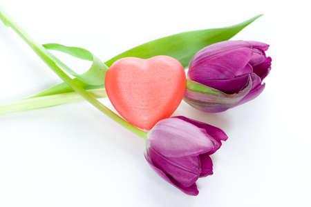 isolated photo of two tulips and red heartの写真素材