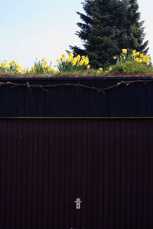 garage with yellow daffodils on itの写真素材