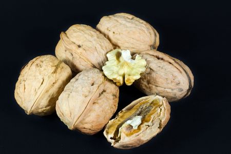 fresh walnuts  isolated on black. fruit of autumn