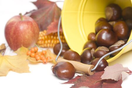 chestnuts spilling out from a yellow bucketの写真素材