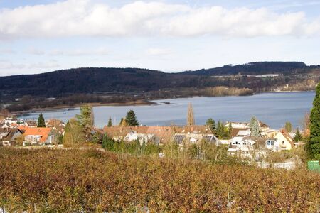 view on the lake at sunny winter dayの写真素材