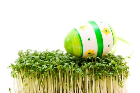 easter egg and cress isolated on whiteの写真素材