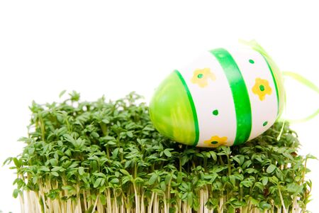 easter egg and cress isolated on whiteの写真素材