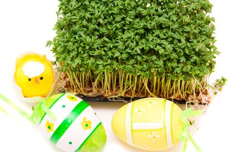 easter egg and cress isolated on whiteの写真素材
