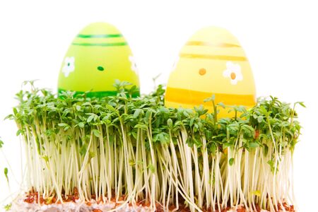 easter egg and cress isolated on whiteの写真素材