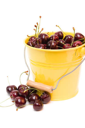 red cherries in a bucket isolated on whiteの写真素材