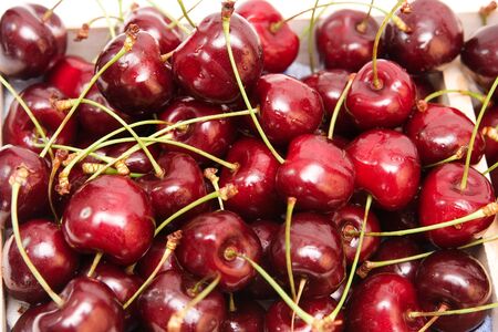 lots of fresh, red cherries. summer backgroundの写真素材