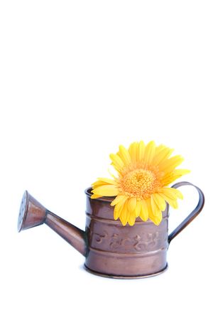 watering can with flowers isolated on whiteの写真素材