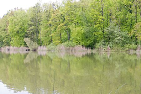 view on the lake. reflection of trees の写真素材