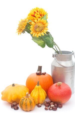 the chestnuts and pumpkins isolated on whiteの写真素材