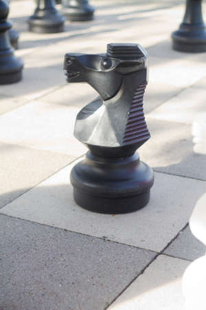 Black chess knight standing on the chessboard.の写真素材