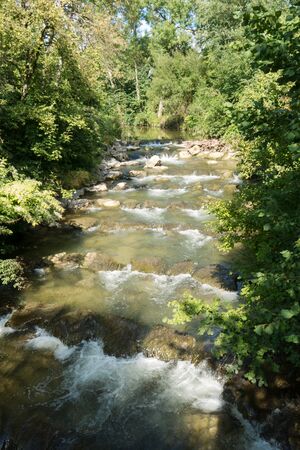 the stream in the forest on the sunny dayの写真素材