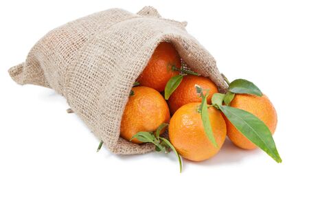 the mandarins in the sack isolated on whiteの写真素材