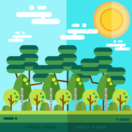Forest flat landscape with birch tree and other different trees.のイラスト素材