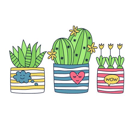 Cactus doodle colorful house plants setのイラスト素材