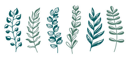 Doodle decorative floral elements boho vector setのイラスト素材