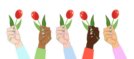 Set of hands with flowers. Hands of different nationalities. Female hands with manicure. Red tulip. Isolated image. Vectorのイラスト素材