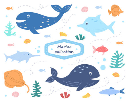 Ocean life and the underwater world. Marine collection. Whale, stingray, shark, dolphin, fish, corals, algae, shells. Vector illustrationのイラスト素材