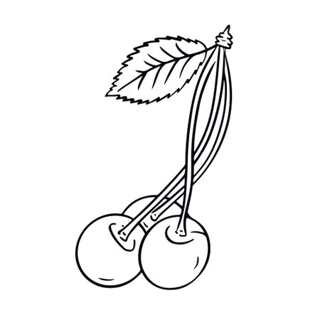 Cherry isolated on white background. Vector illustration in simple doodle styleのイラスト素材