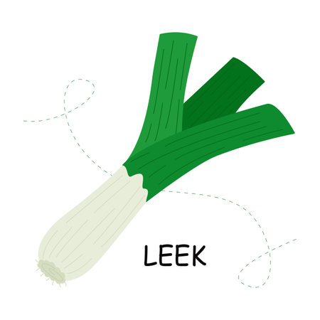 Green leek. Vegetables. Healthy food design for farm market menu. Vectorのイラスト素材
