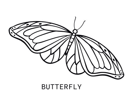 Butterfly icon in doodle style. Hand drawn vector illustration. Design element for patterns, cards, stickersのイラスト素材