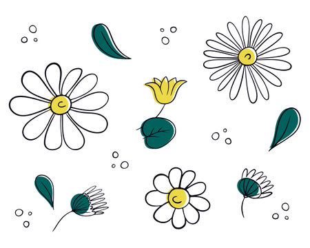 White daisy in doodle style. Collection of cute daisies round flower plants. Vector illustrationのイラスト素材