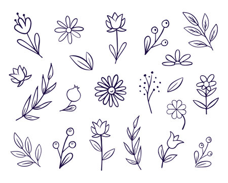 Collection with flowers, branches with leaves isolated on white background. Set of hand drawn vector decorative elements for your design. Vector illustrationのイラスト素材