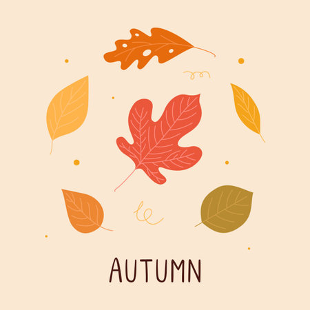 Colorful autumn leaves. Oak, birch, maple leaves. Various woodland leafage. Vector illustrationのイラスト素材