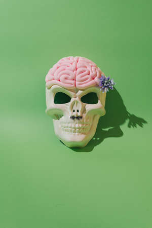 Skull with a mustache and a pink brain with a purple flower. Green background. Conceptual art.の写真素材