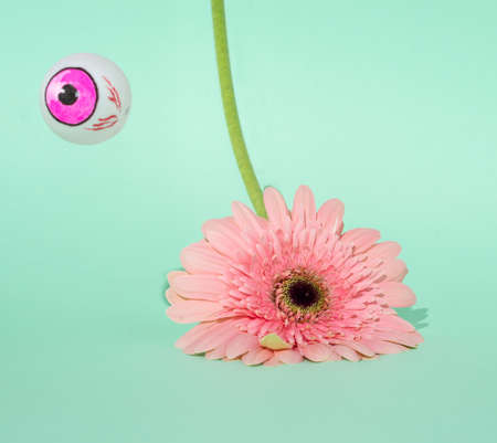 The eye looks at the falling flower. Conceptual blue background.の写真素材
