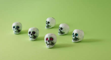 Skull neatly arranged on a green background. Concept set.の写真素材