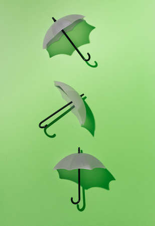 Umbrellas of pastel purple color fall. The background is green. Sharp shadows.の写真素材