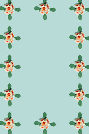 Pattern of roses and leaves. In the middle left a frame. Modern background colors.の写真素材