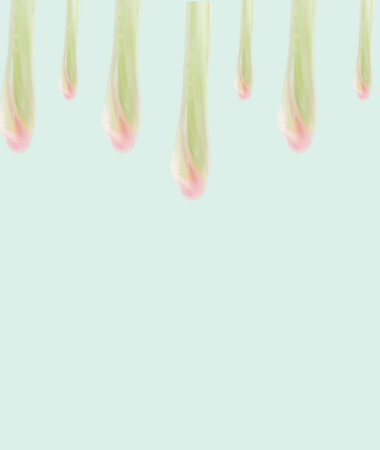 Slime in the fall. Gently pink and green shades. Pastel background. Space for text.の写真素材