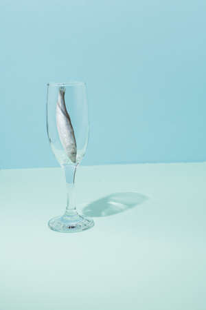 Modern conceptual setting of still life. Fish in a champagne glass. Two shades of blue in the...