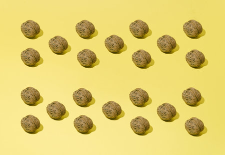 Beautiful pattern on a yellow background made of walnut. Conceptual set. Minimalism.