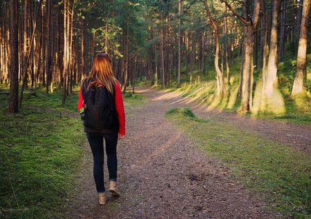 Woman tourist in the woodの写真素材