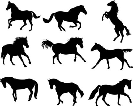 horses collection  のイラスト素材