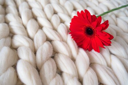 Close up view of the knitted white merino wool plaid with red flower on itの写真素材
