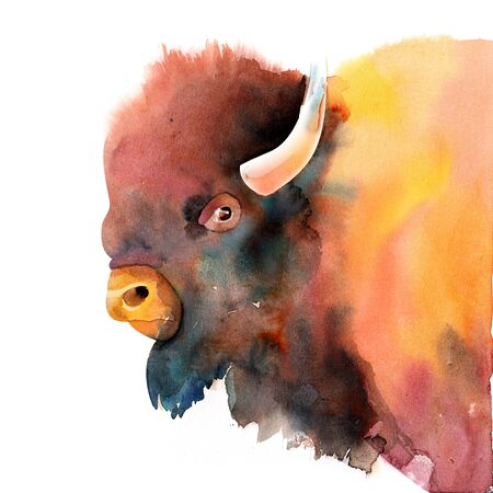 Mountain bison, image of a bull. Watercolor illustration isolated on a white backgroundの写真素材