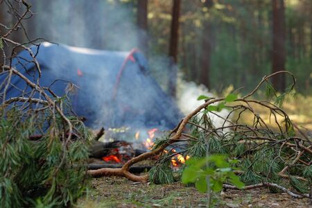 Fire and smoke against the background of a tent in a pine forest.の写真素材