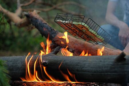 Vegetables are grilled in the forest. Delicious zucchini and mushrooms on the grill. Vegetarian dish on a campfire in the wild. Delicious zucchini and mushrooms on the grill.の写真素材