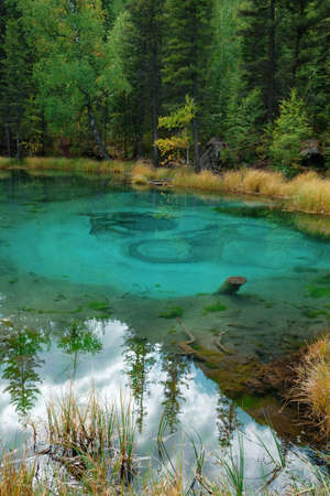 blue lake in which fountains at the bottom color blue circles in the vicinity of the village Aktash,...