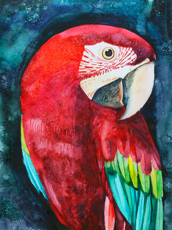 Watercolor illustration of a parrot bird. tropical nature. Portrait of a large bright bird on a dark background.の写真素材