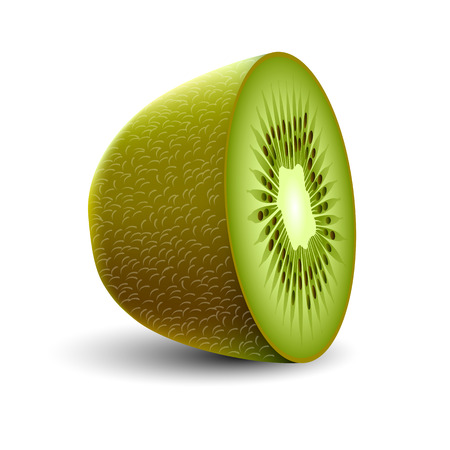 Isolated realistic colored half of green color juicy kiwi with shadow on white backgroundのイラスト素材