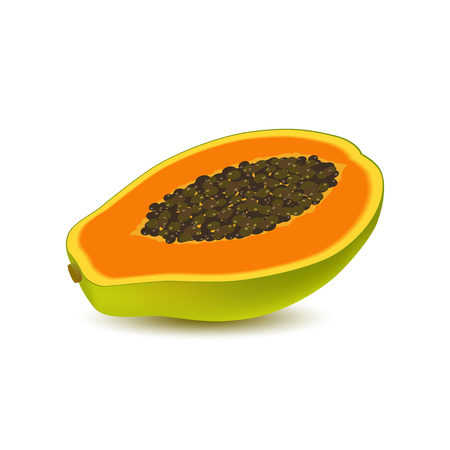 Isolated realistic colored half slice of juicy orange papaya, pawpaw, paw paw with seeds with shadow on white background. Side viewのイラスト素材